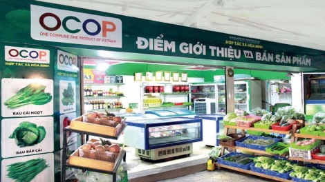 Hỗ trợ quảng bá, giới thiệu các sản phẩm OCOP đến với người tiêu dùng