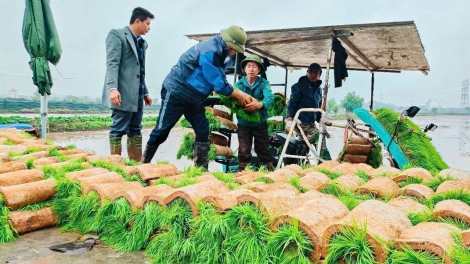 Nông dân Việt Nam trong kỷ nguyên mới
