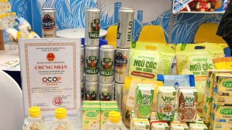 OCOP – Mở hướng sinh kế cho người dân vùng cao