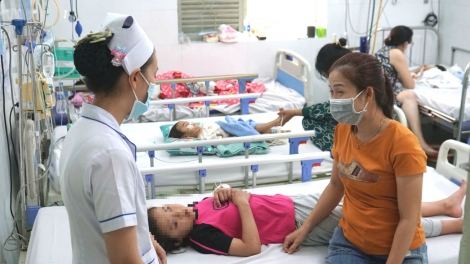 Đã có hơn 86.000 ca mắc sốt xuất huyết, bệnh ngày càng khó lường hơn do biến đổi khí hậu