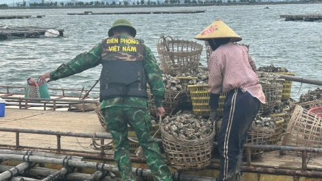 Quảng Ninh: Đảm bảo an toàn, đời sống cho người dân tránh trú bão