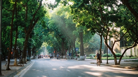 Thời tiết ngày 12/10/2025: Bắc Bộ và Bắc Trung Bộ ngày nắng