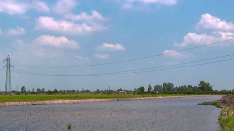 Bản tin 15h 13/10/2025