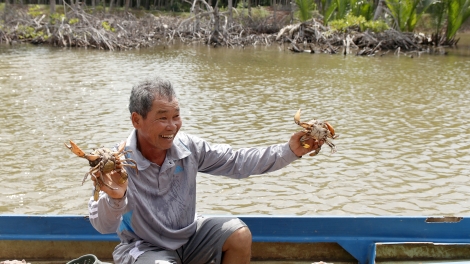 Mô hình rừng - thủy sản mang lại nguồn thu ổn định cho nông dân ven biển Vĩnh Long (10/11/2025)
