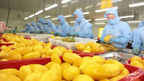 Theo dòng thời sự sáng 12/11/2025