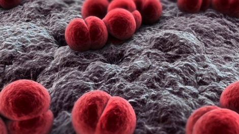 Ghi nhận ca mắc não mô cầu, Hà Nội khuyến cáo phòng dịch bệnh truyền nhiễm nguy hiểm