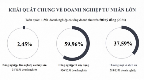 Hoàn thiện chính sách hỗ trợ phát triển doanh nghiệp tư nhân “sếu đầu đàn”