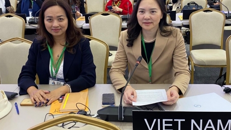 Đóng góp nổi bật của Việt Nam tại Kỳ họp lần thứ 43 Đại hội đồng UNESCO