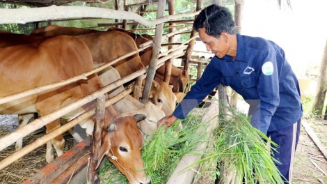 Phát huy vai trò của đảng viên, cựu chiến binh trong xóa đói giảm nghèo bền vững