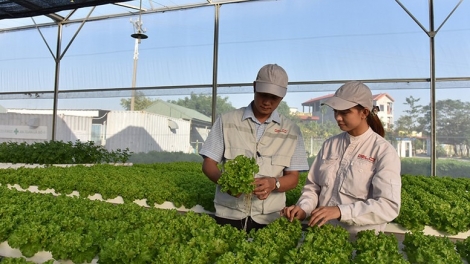 Kinh tế tuần hoàn – Giải pháp bền vững cho tương lai Việt Nam