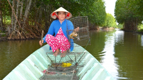 Ngày hội cua Cà Mau: Người dân mong "giá bền", HTX muốn "xuất ngoại"