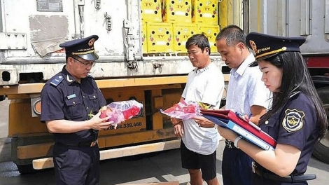 Hải quan nỗ lực hiện đại hoá, tăng cường hỗ trợ, tạo thuận lợi cho doanh nghiệp xuất nhập khẩu
