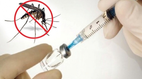 Việt Nam thử nghiệm lâm sàng giai đoạn 3 vắc-xin sốt xuất huyết