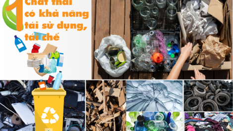 Xây dựng hệ sinh thái tái chế bền vững