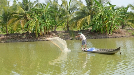Chuyển đổi xanh, kinh tế tuần hoàn trong nuôi trồng thủy sản tại ĐBSCL (05/11/2025)
