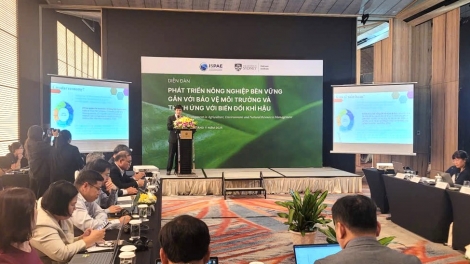 Phát triển nông nghiệp thích ứng với biến đổi khí hậu