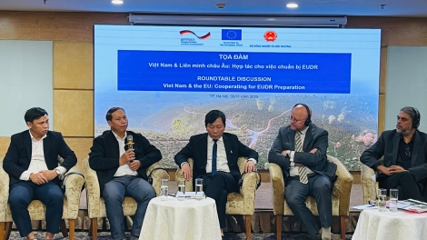 Eu hỗ trợ Việt Nam trong việc thực thi Quy định chống phá rừng của Liên minh châu Âu được hiệu quả