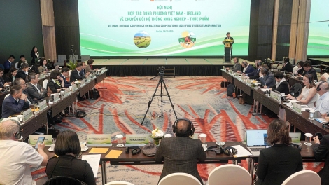 Chung tay xây dựng hệ thống lương thực, thực phẩm bền vững