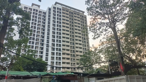 Theo dòng thời sự sáng 14/11/2025