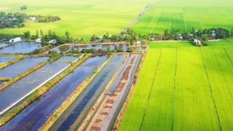 Nông nghiệp sản xuất thuận thiên 