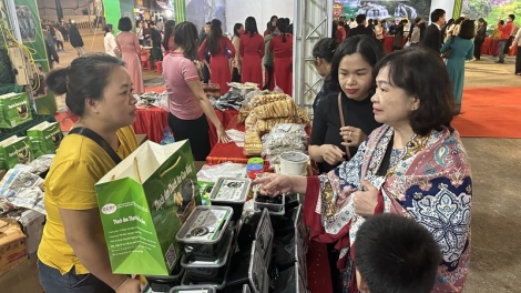 Tạo kênh tiêu thụ cho sản phẩm miền núi Cao Bằng