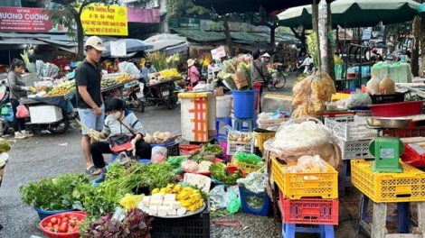 Theo dòng thời sự sáng 20/11/2025