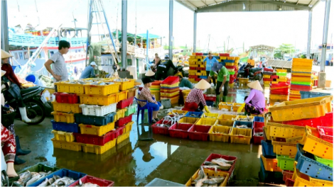 Theo dòng thời sự sáng 25/11/2025