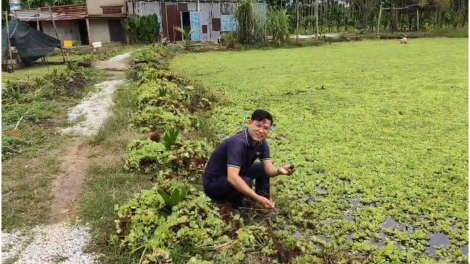 Chàng trai 9x và khát vọng giúp nông dân đổi đời 