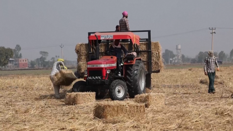 Nông dân Ấn Độ nói không với đốt rơm rạ nhằm giảm thiểu ô nhiễm không khí