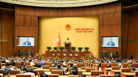 Bản tin 15h 4/11/2025