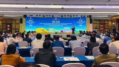 6 năm thực hiện Nghị định 98: Liên kết để nông nghiệp phát triển bền vững