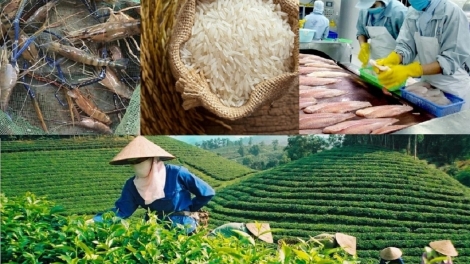 80 năm Nông nghiệp Việt Nam - Khẳng định vị thế, vững bước hội nhập