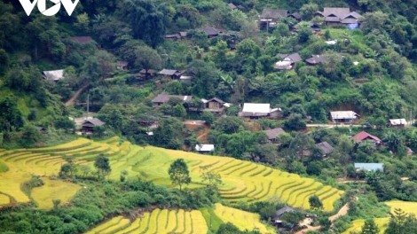 Theo dòng thời sự chiều 25/11/2025