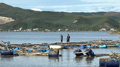 Khoanh nợ, giảm lãi suất cho bà con nuôi thuỷ sản bị ảnh hưởng bão số 13