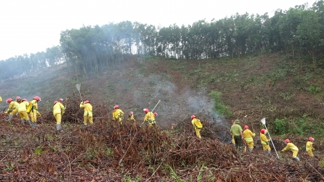 Theo dòng thời sự sáng 6/11/2025