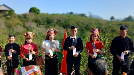 Cà phê Arabica: Sinh kế thoát nghèo ở bản làng Chiềng An, Sơn La (19/11/2025)