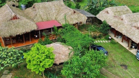 Tuổi trẻ Phú Thọ làm giàu trên quê hương