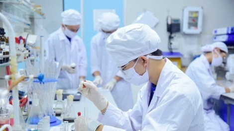 Cơ chế, chính sách thu hút chuyên gia khoa học, công nghệ, đổi mới sáng tạo và chuyển đổi số