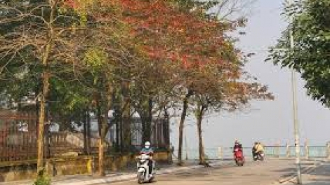 Thời tiết ngày 23/11/2025: Miền Bắc rét khô, miền Trung và miền Nam mưa to