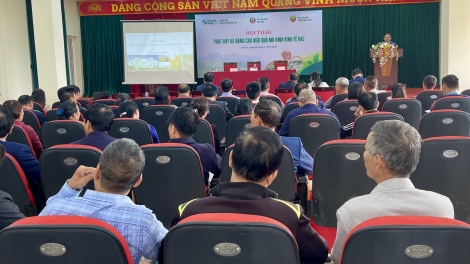 Phát huy hiệu quả kinh tế VAC – Hướng tới nền nông nghiệp xanh, đa giá trị