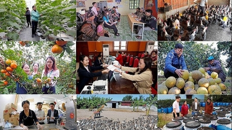 Bắc Ninh cấp bổ sung 300 tỷ đồng ủy thác cho vay giảm nghèo