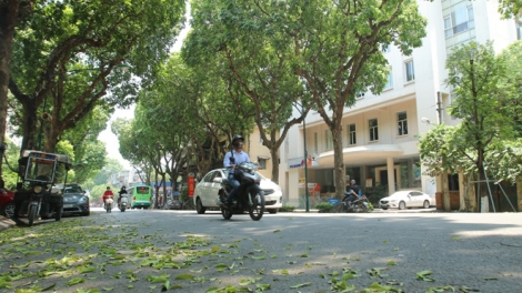 Thời tiết ngày 11/11/2025: Bắc Bộ mưa giảm, trưa và chiều trời hửng nắng 