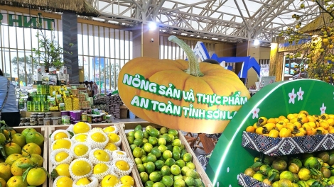 Hội chợ lần thứ nhất Mùa thu 2025: Sân khấu lớn để nông sản Việt vươn tầm
