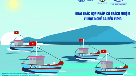 Nỗ lực chống khai thác thủy sản bất hợp pháp vì một nghề cá có trách nhiệm 