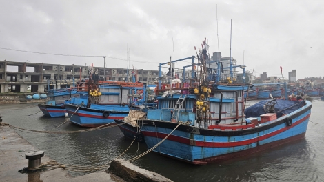 Quảng Ngãi gió mạnh, mưa lớn; hoàn tất di dời dân, tăng cường trực chiến ứng phó bão số 13