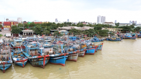 Ngư dân Đà Nẵng nhanh chóng đưa tàu thuyền đi trú bão