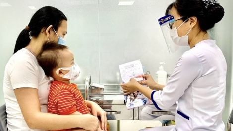 Theo dòng thời sự chiều 1/11/2025