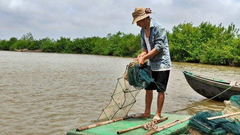 Hiệu quả mô hình thủy sản dưới tán rừng ngập mặn ở Ninh Bình (04/11/2025)