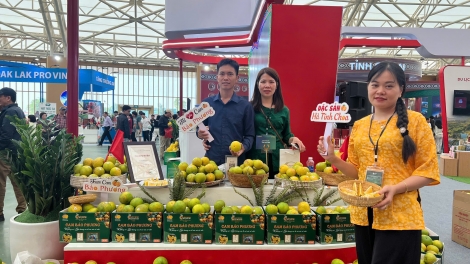 Những nông sản OCOP chinh phục khách hàng (03/11/2025)