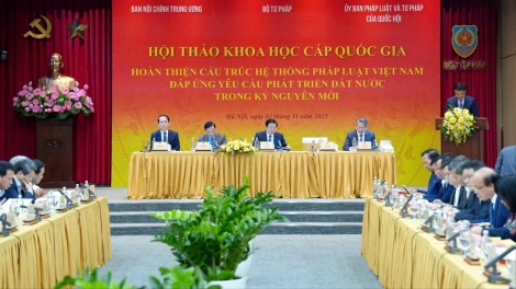 Hoàn thiện cấu trúc hệ thống pháp luật Việt Nam đáp ứng yêu cầu phát triển đất nước trong kỷ nguyên 